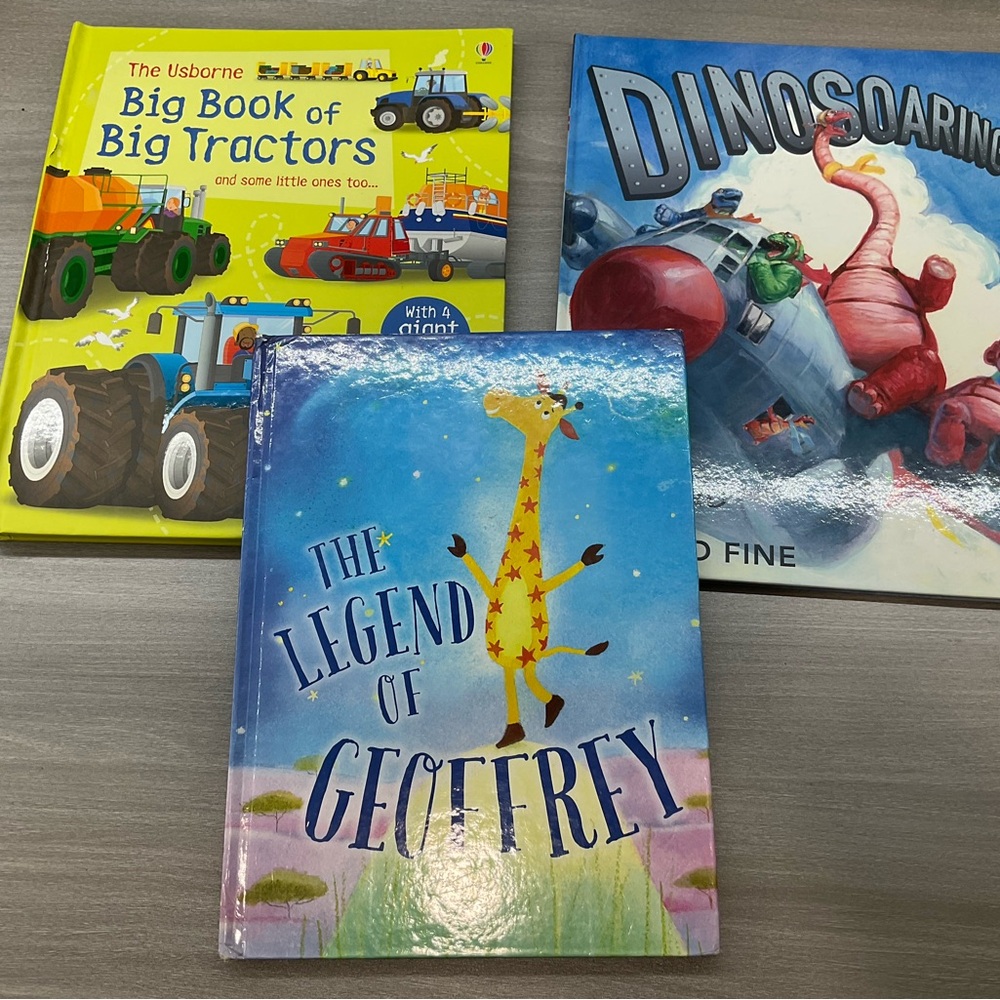 THREE CHILDRENS HARDCOVER BOOKS